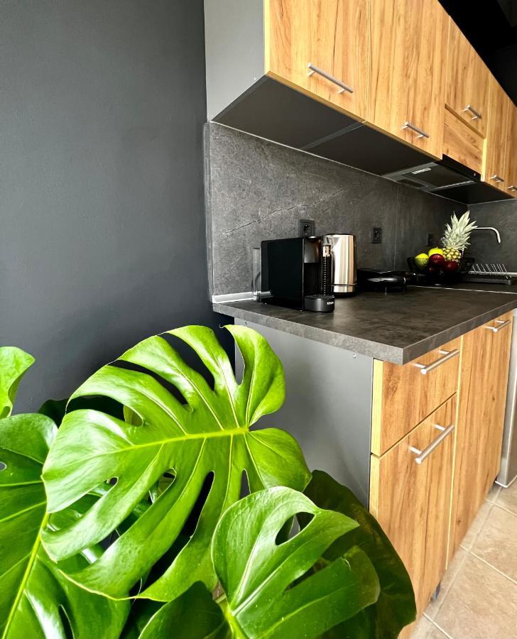 Downtown Apartments Rhodes City Екстер'єр фото